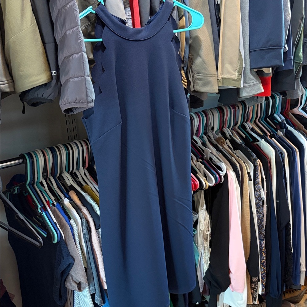 BCX Navy Dress
